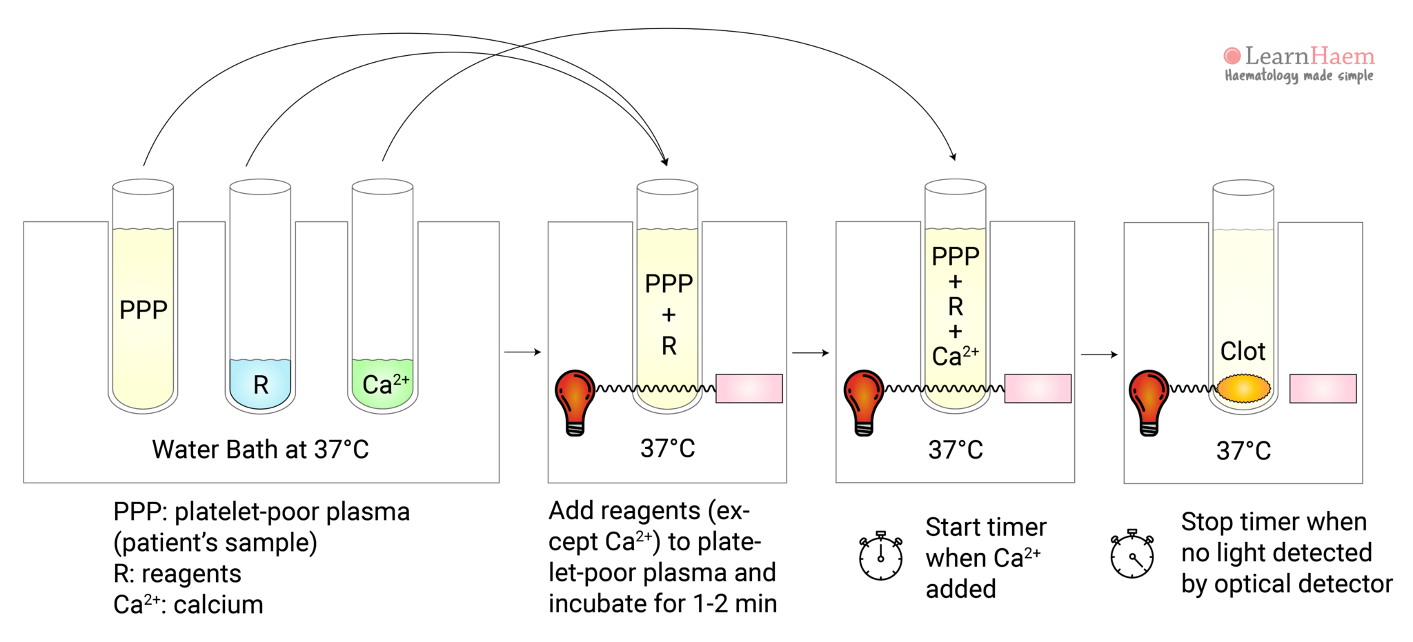 Activated Partial Thromboplastin Time (APTT)